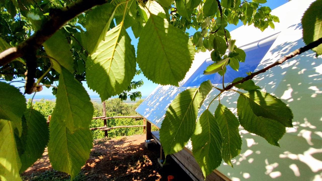 Agricamping La Gallinella Castagneto Carducci Bagian luar foto