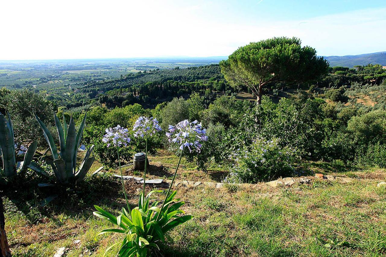 Agricamping La Gallinella Castagneto Carducci Bagian luar foto